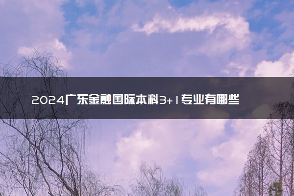 2024广东金融国际本科3+1专业有哪些 可信吗