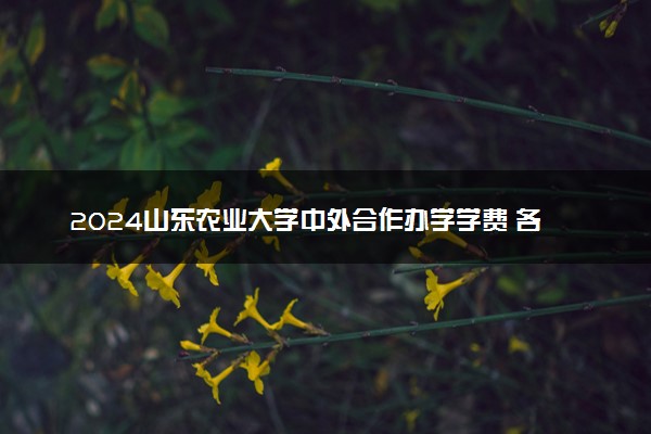 2024山东农业大学中外合作办学学费 各专业最新收费标准