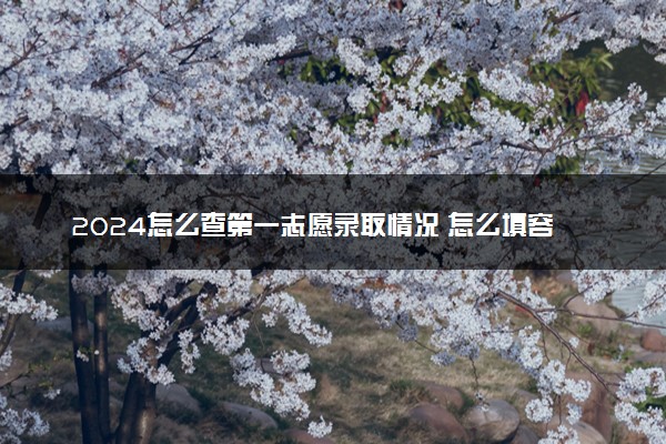 2024怎么查第一志愿录取情况 怎么填容易录取