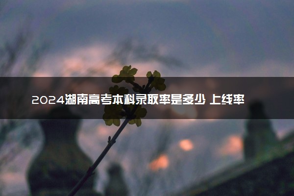 2024湖南高考本科录取率是多少 上线率高不高