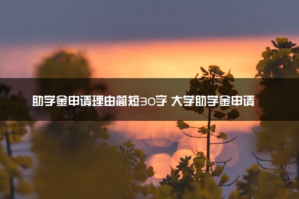 助学金申请理由简短30字 大学助学金申请书范文模板
