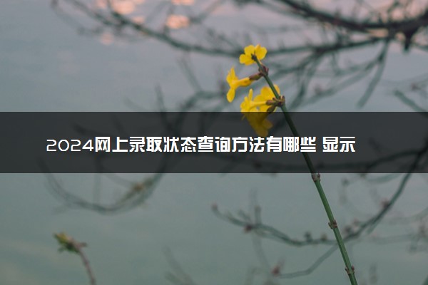 2024网上录取状态查询方法有哪些 显示什么是录取成功