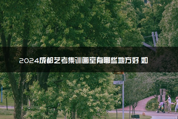 2024成都艺考集训画室有哪些地方好 如何选择