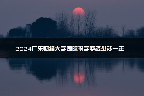 2024广东财经大学国际班学费多少钱一年