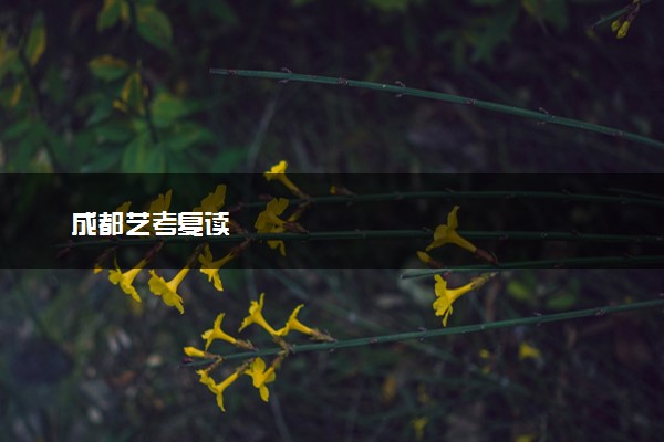 成都艺考复读