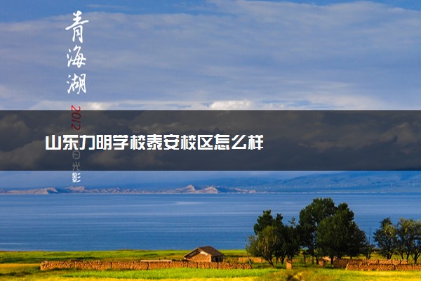 山东力明学校泰安校区怎么样