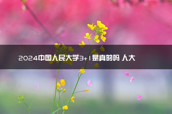 2024中国人民大学3+1是真的吗 人大3+1好吗