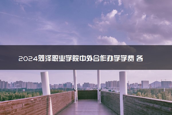 2024菏泽职业学院中外合作办学学费 各专业最新收费标准