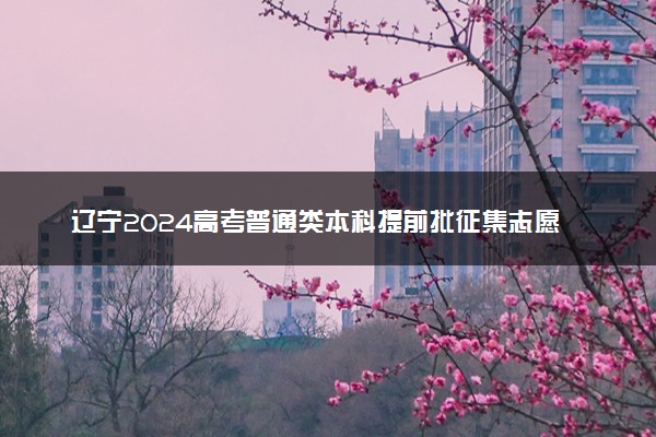 辽宁2024高考普通类本科提前批征集志愿剩余计划统计表