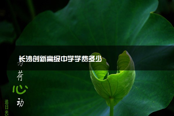 长沙创新高级中学学费多少