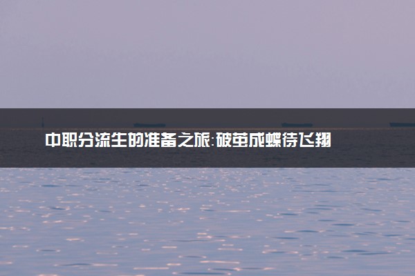 中职分流生的准备之旅：破茧成蝶待飞翔
