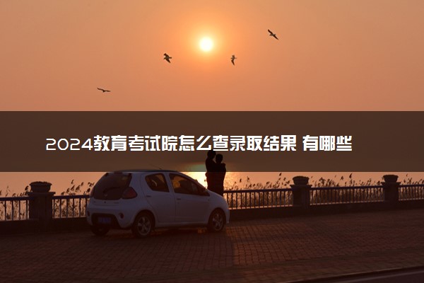 2024教育考试院怎么查录取结果 有哪些其他查询方式