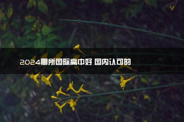 2024哪所国际高中好 国内认可的