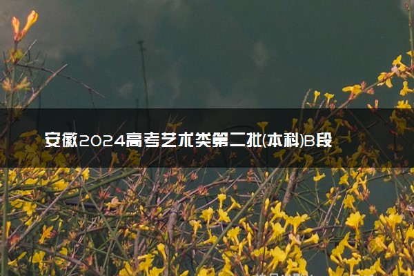 安徽2024高考艺术类第二批(本科)B段最低投档分【舞蹈类】