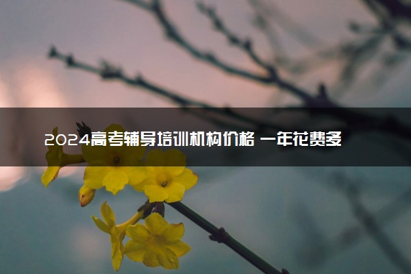 2024高考辅导培训机构价格 一年花费多少钱