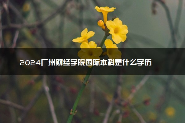 2024广州财经学院国际本科是什么学历 可信吗