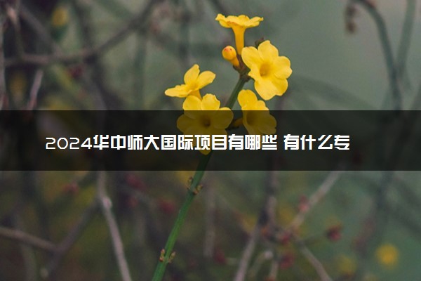 2024华中师大国际项目有哪些 有什么专业