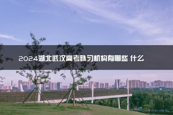 2024湖北武汉高考补习机构有哪些 什么机构师资强