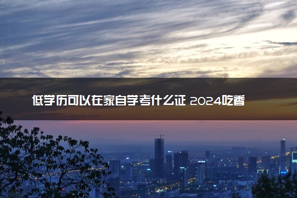 低学历可以在家自学考什么证 2024吃香值得报的证书