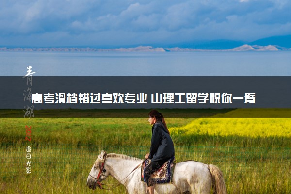 高考滑档错过喜欢专业 山理工留学祝你一臂之力