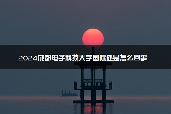2024成都电子科技大学国际处是怎么回事 具体介绍