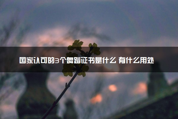 国家认可的3个舞蹈证书是什么 有什么用处