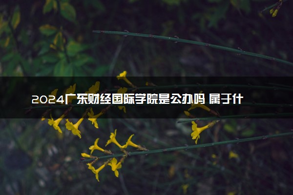 2024广东财经国际学院是公办吗 属于什么学历