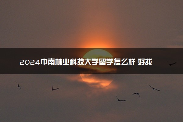 2024中南林业科技大学留学怎么样 好找工作吗