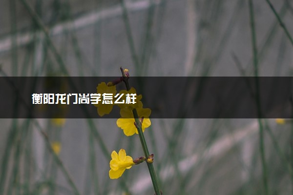 衡阳龙门尚学怎么样