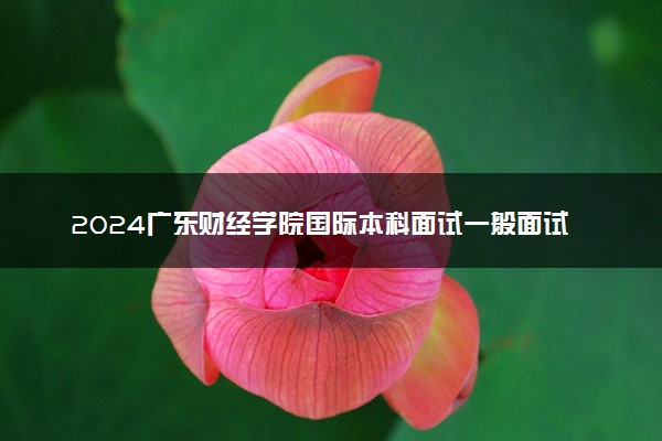 2024广东财经学院国际本科面试一般面试什么内容