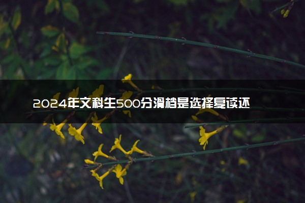 2024年文科生500分滑档是选择复读还是出国留学