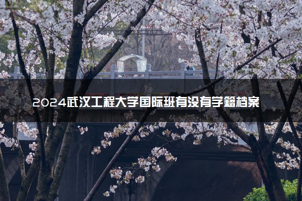 2024武汉工程大学国际班有没有学籍档案 具体怎么回事