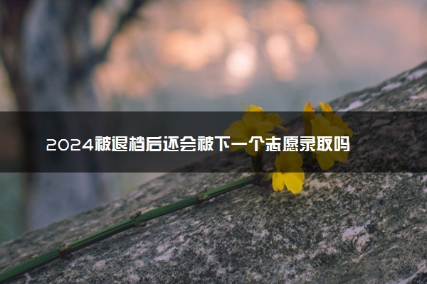 2024被退档后还会被下一个志愿录取吗 怎么补救