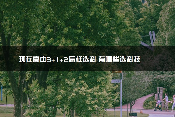 现在高中3+1+2怎样选科 有哪些选科技巧
