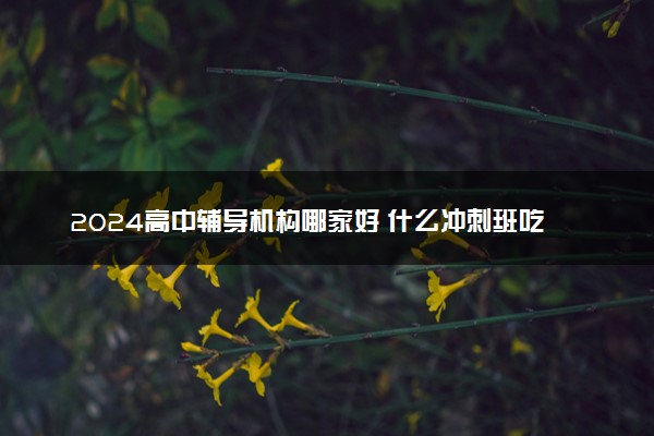 2024高中辅导机构哪家好 什么冲刺班吃香