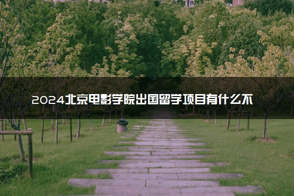 2024北京电影学院出国留学项目有什么不一样吗