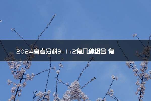 2024高考分科3+1+2有几种组合 有什么选科建议