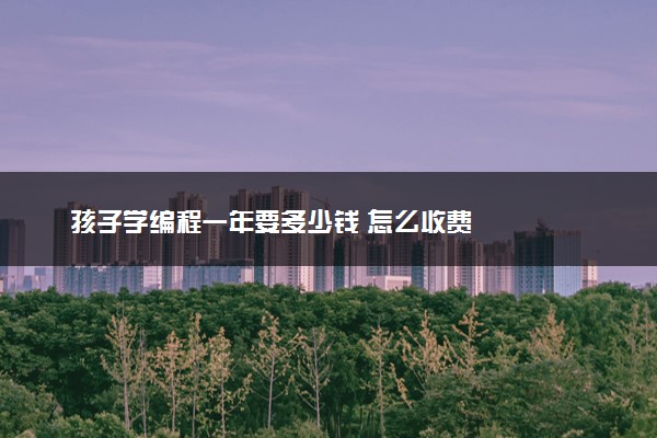 孩子学编程一年要多少钱 怎么收费