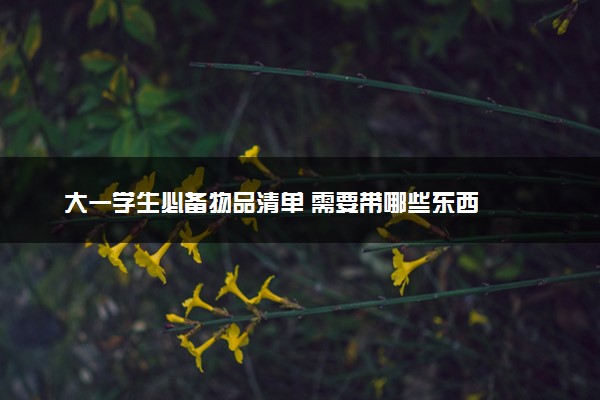 大一学生必备物品清单 需要带哪些东西