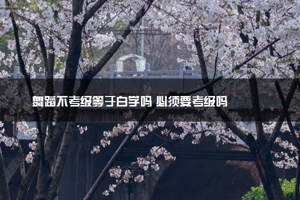 舞蹈不考级等于白学吗 必须要考级吗