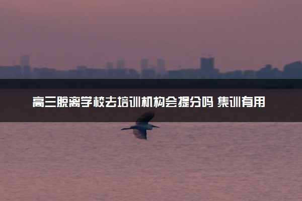 高三脱离学校去培训机构会提分吗 集训有用吗