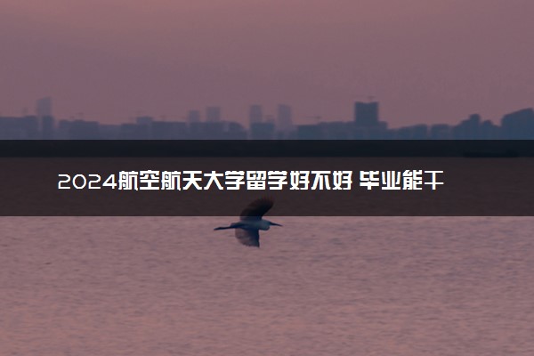2024航空航天大学留学好不好 毕业能干什么