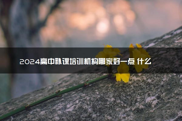 2024高中补课培训机构哪家好一点 什么机构值得选