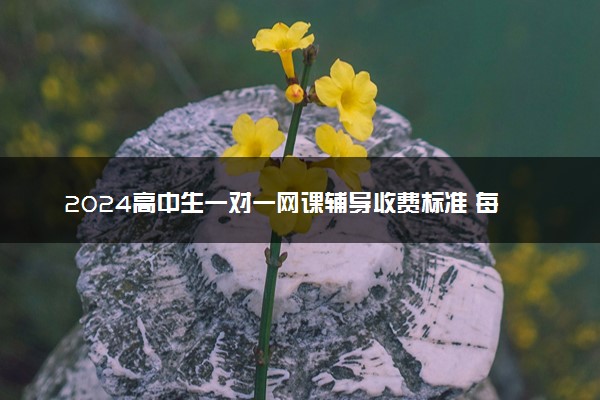 2024高中生一对一网课辅导收费标准 每小时课时费多少