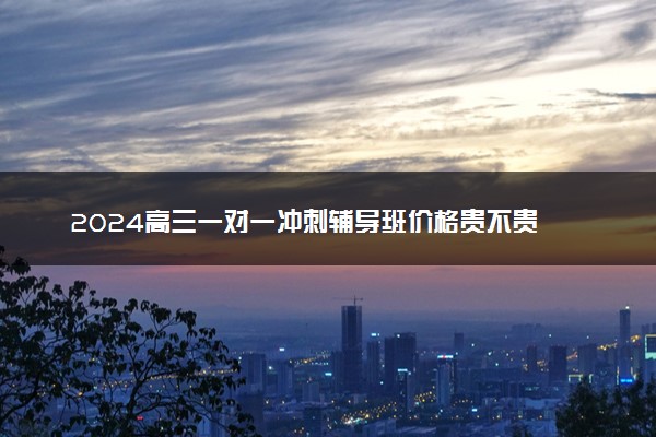 2024高三一对一冲刺辅导班价格贵不贵 每小时收费多少