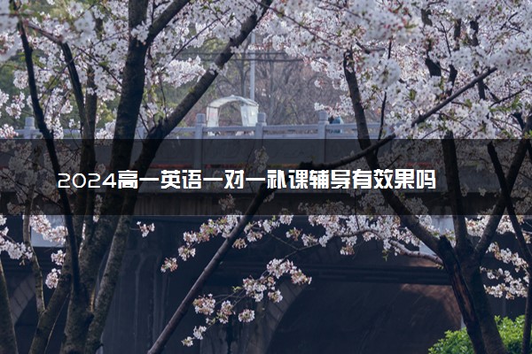 2024高一英语一对一补课辅导有效果吗 要不要报班