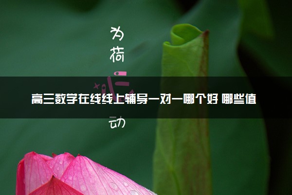 高三数学在线线上辅导一对一哪个好 哪些值得推荐