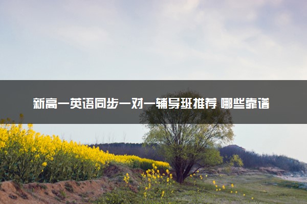 新高一英语同步一对一辅导班推荐 哪些靠谱