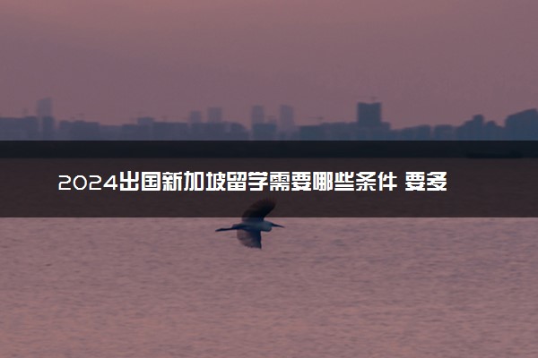 2024出国新加坡留学需要哪些条件 要多少钱