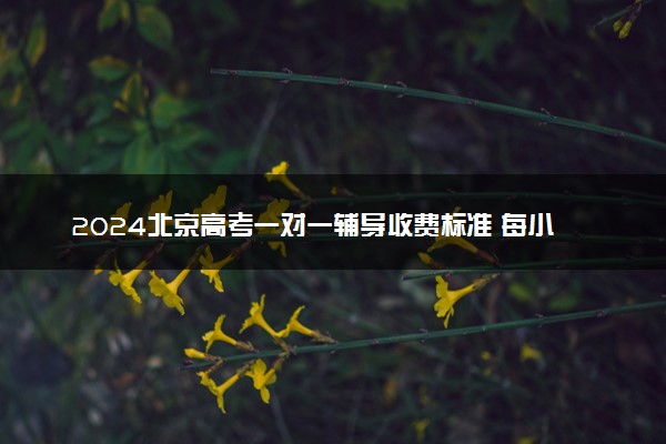 2024北京高考一对一辅导收费标准 每小时多少钱
